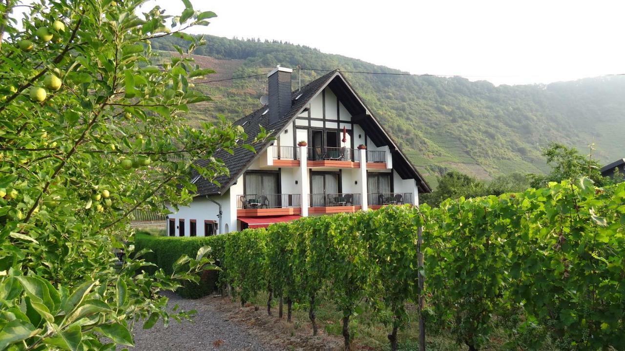 Haus Weingarten Appartements-Zimmer 恩斯特 客房 照片